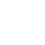 logo Skira