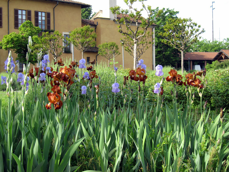 Villa Lonati fioriture primaverili