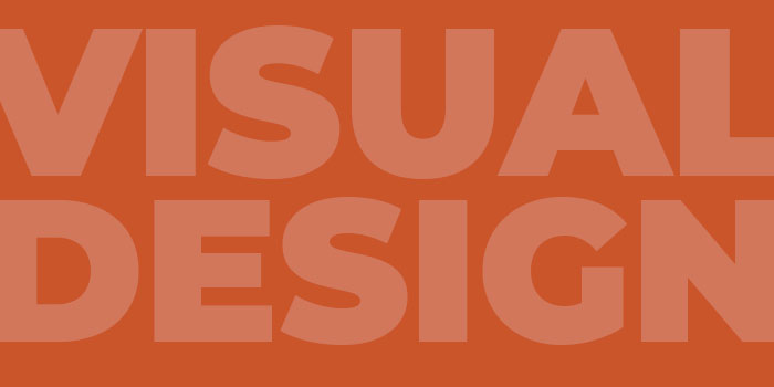 Visual Design • corsi annuali e biennali