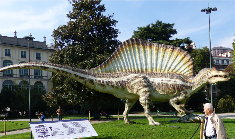 Lo Spinosauro: il primo vero dinosauro nuotatore