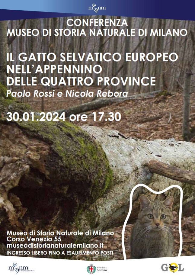 Il gatto selvatico europeo nell’Appennino delle Quattro Province